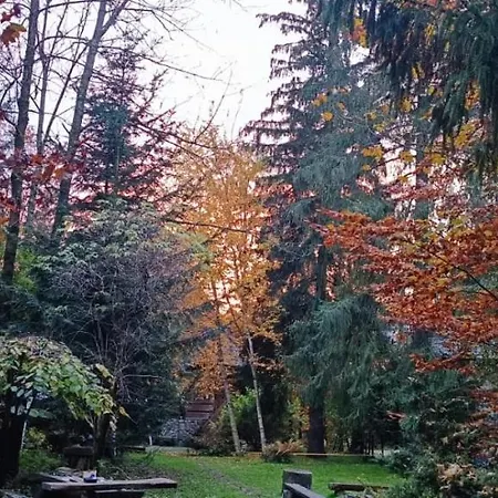 Chalet Raj